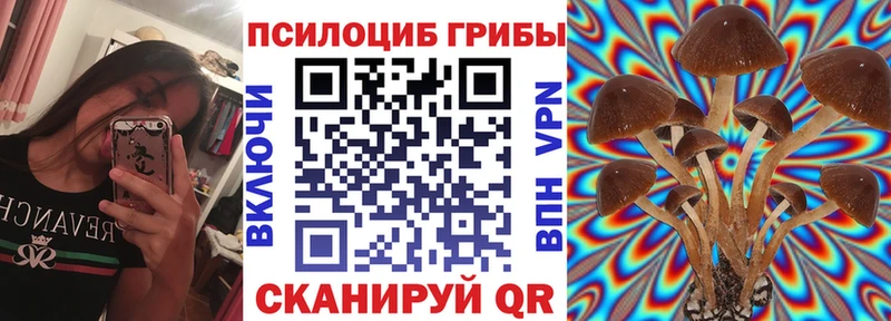 закладка  Высоковск  Псилоцибиновые грибы MAGIC MUSHROOMS 